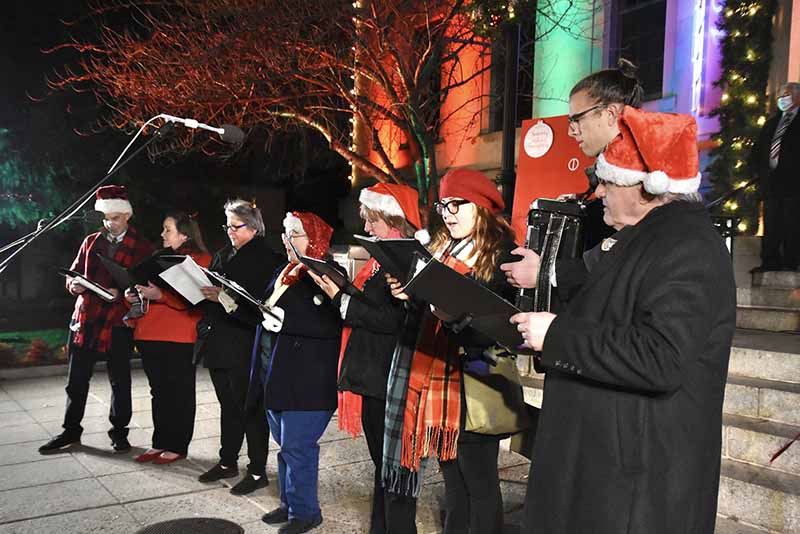 Tree chosen for 16th annual Festival of Lights, set for Dec. 3